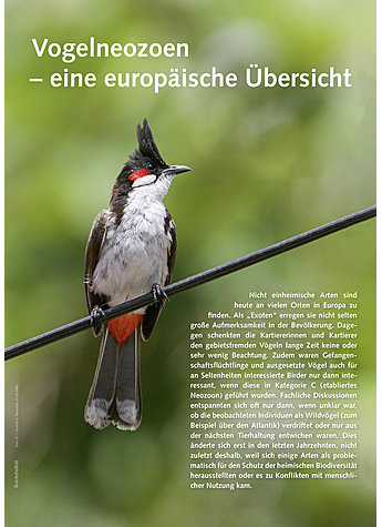 VOGELNEOZOEN -EINE EUROPISCHE BERSICHT