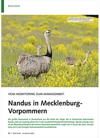 VOM MONITORING ZUM MANAGEMENT: NANDUS IN MECKLENBURG-VORPOMME RN