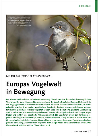 NEUER BRUTVOGELATLAS EBBA 2: EUROPAS VOGELWELT IN BEWEGUNG