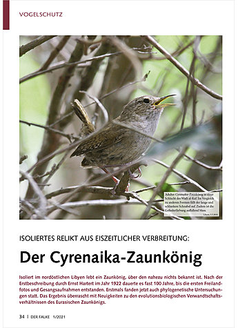 Produktbild fr Produktnummer FA210106