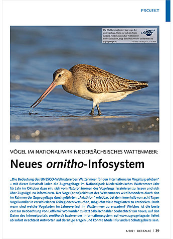 VGEL IM NATIONALPARK NIEDER SCHSISCHES WATTENMEER: NEUES ORNITHO-INFOSYSTEM