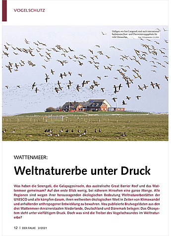 WATTENMEER: WELTNATURERBE UNTER DRUCK