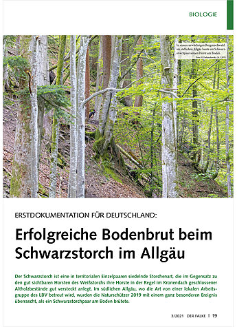 Produktbild fr Produktnummer FA210303
