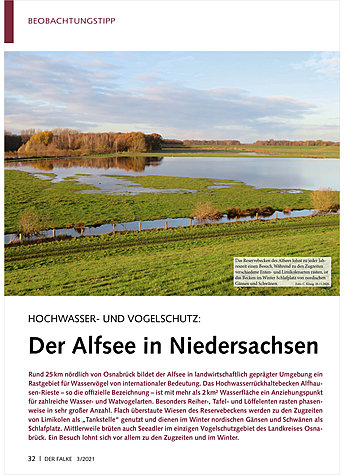 HOCHWASSER- UND VOGELSCHUTZ: DER ALFSEE IN NIEDERSACHSEN