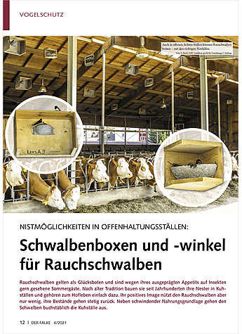 NISTMGLICHKEITEN IN OFFENHALT UNGSSTLLEN: SCHWALBENBOXEN UND -WINKEL FR RAUCHSCHWALBEN
