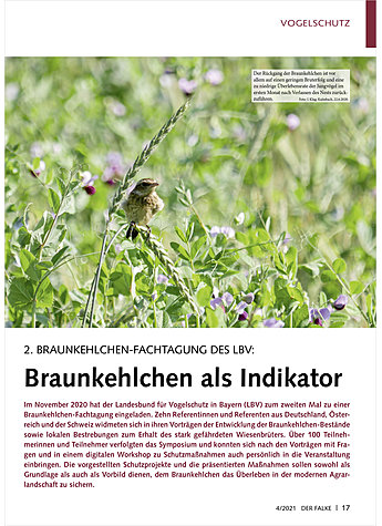 Produktbild fr Produktnummer FA210403