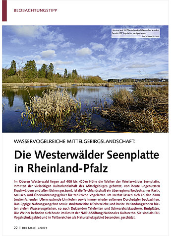 WASSERVOGELREICHE MITTELGEBIRG SLANDSCHAFT: DIE WESTERWLDER SEENPLATTE IN RHEINLAND-PFALZ