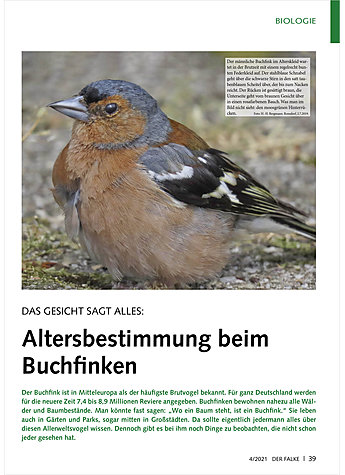 Produktbild fr Produktnummer FA210407