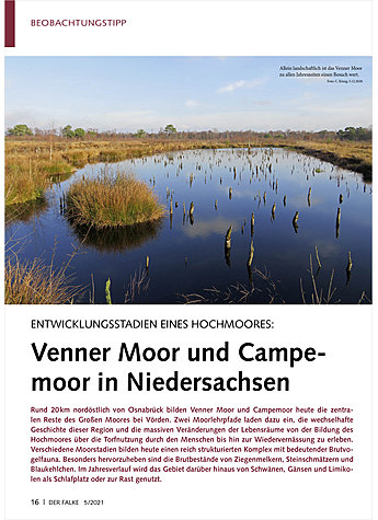 ENTWICKLUNGSSTADIEN EINES HOCH MOORES: VENNER MOOR UND CAMPE MOOR IN NIEDERSACHSEN