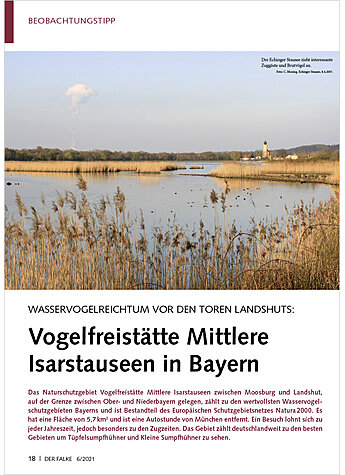 WASSERVOGELREICHTUM VOR DEN TO REN LANDSHUTS: VOGELFREISTTTE MITTLERE ISARSTAUSEEN IN BAYER