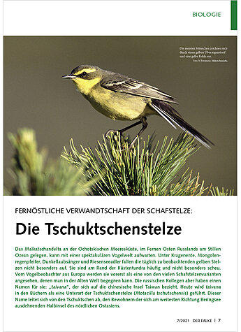 Produktbild fr Produktnummer FA210701