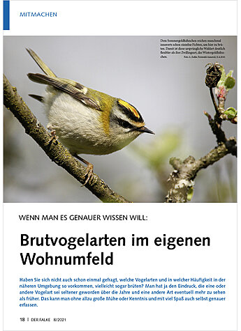 WENN MAN ES GENAUER WISSEN WILL: BRUTVOGELARTEN IM EIGENEN WOHNUMFELD