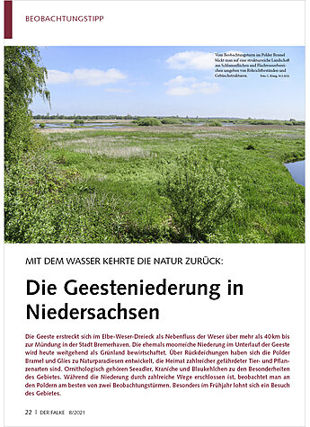 Produktbild fr Produktnummer FA210804
