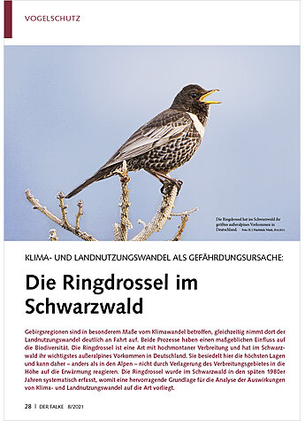 KLIMA- UND LANDNUTZUNGSWANDEL ALS GEFHRDUNGSURSACHE: DIE RINGDROSSEL IM SCHWARZWALD