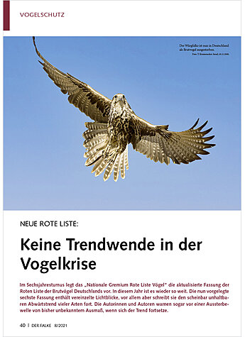 NEUE ROTE LISTE: KEINE TREND WENDE IN DER VOGELKRISE