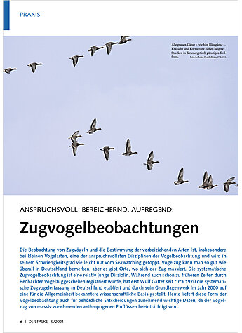 Produktbild fr Produktnummer FA210901