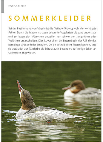 Produktbild fr Produktnummer FA210903