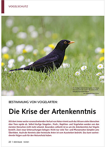 BESTIMMUNG VON VOGELARTEN: DIE KRISE DER ARTENKENNTNIS