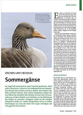 Produktbild fr Produktnummer FA210905