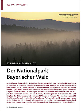 50 JAHRE PROZESSSCHUTZ: DER NATIONALPARK BAYERISCHER WALD