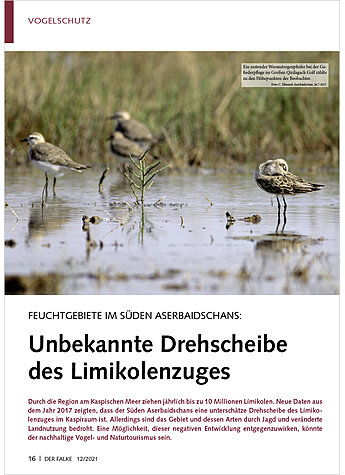 FEUCHTGEBIETE IM SDEN ASER BAIDSCHANS: UNBEKANNTE DREH SCHEIBE DES LIMIKOLENZUGES