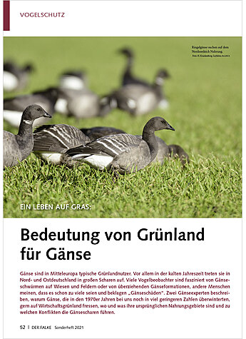 EIN LEBEN AUF GRAS: BEDEUTUNG VON GRNLAND FR GNSE