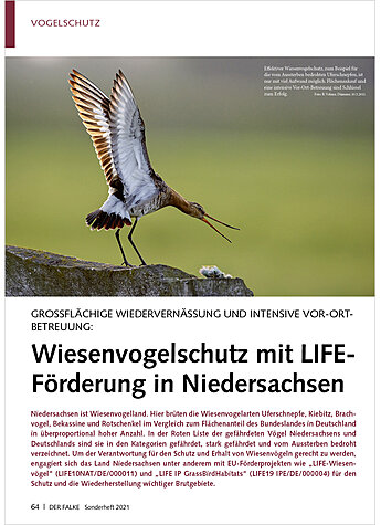 GROSSFLCHIGE WIEDERVERNSSUNG WIESENVOGELSCHUTZ MIT LIFE- FRDERUNG IN NIEDERSACHSEN