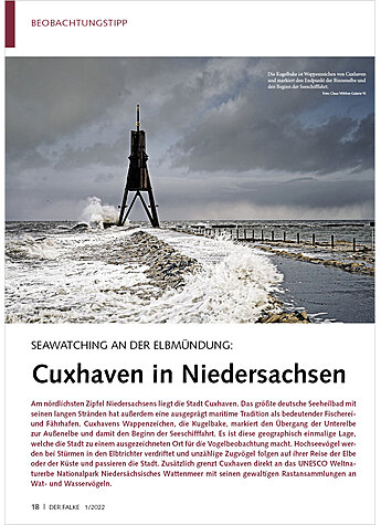 SEAWATCHING AN DER ELBMNDUNG: CUXHAVEN IN NIEDERSACHSEN