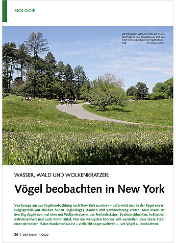 WASSER, WALD UND WOLKENKRATZER VGEL BEOBACHTEN IN NEW YORK