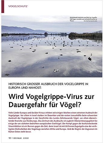 HISTORISCH GROSSER AUSBRUCH DE R VOGELGRIPPE INEUROPA UND NAH OST: WIRD VOGELGRIPPE-VIRUS