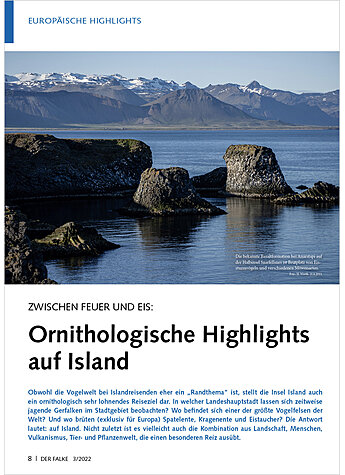 ZWISCHEN FEUER UND EIS: ORNI THOLOGISCHE HIGHLIGHTS AUF ISLAND