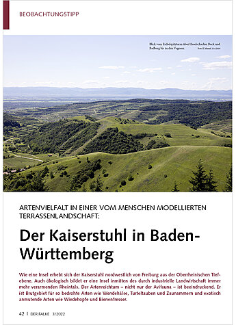 ARTENVIELFALT IN EINER VOM MEN SCHEN MODELLIERTEN TERRASSEN LANDSCHAFT: DER KAISERSTUHL