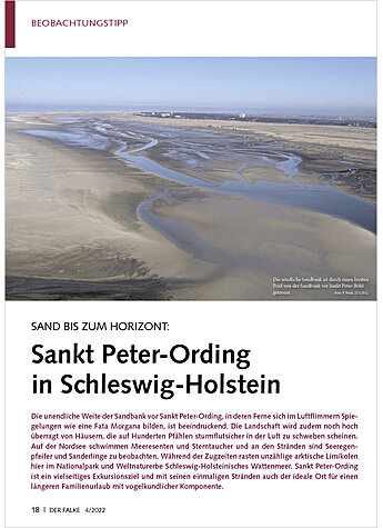 SAND BIS ZUM HORIZONT: SANKT PETER-ORDING IN SCHLESWIG- HOLSTEIN