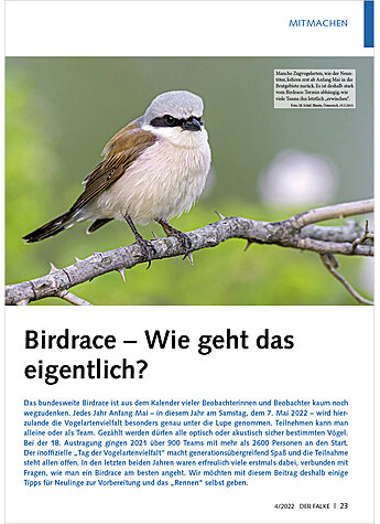 BIRDRACE - WIE GEHT DAS EIGENT LICH?