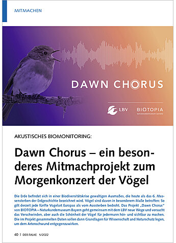 AKUSTISCHES BIOMONITORING: DAW N CHORUS - EIN BESONDERES MITM ACHPROJEKT ZUM MORGENKONZERT
