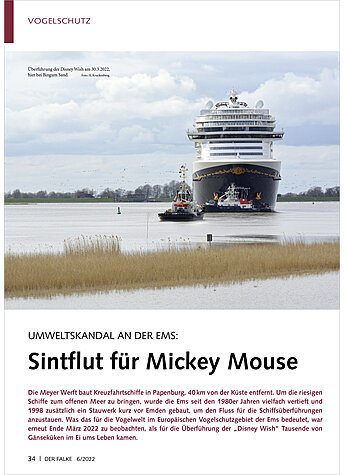 UMWELTSKANDAL AN DER EMS: SINTFLUT FR MICKEY MOUSE