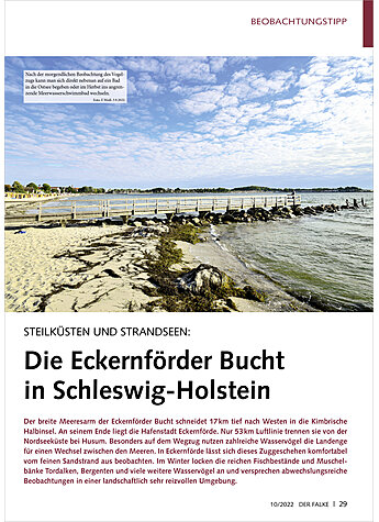 STEILKSTEN UND STRANDSEEN: DIE ECKERNFRDER BUCHT IN SCHLESWIG-HOLSTEIN