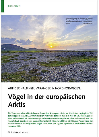 AUF DER HALBINSEL VARANGER IN NORDNORWEGEN: VGEL IN DER EUROPISCHEN ARKTIS