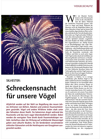 SILVESTER: SCHRCKENSNACHT FR UNSERE VGEL