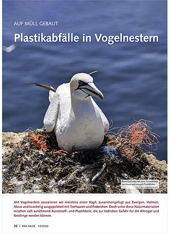 AUF MLL GEBAUT PLASTIKABFLLE IN VOGELNESTERN