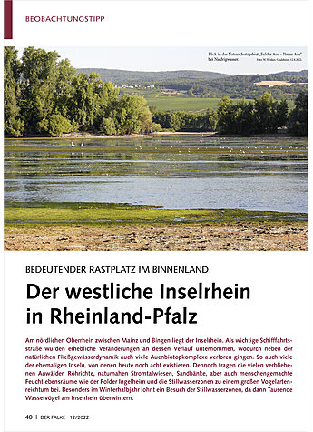 BEDEUTENDER RASTPLATZ IM BINNE NLAND: DER WESTLICHE INSELRHEI N IN RHEINLAND-PFALZ