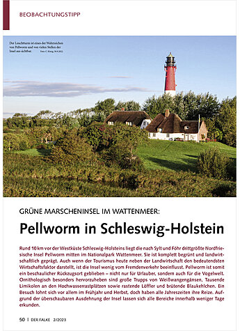 GRNE MARSCHENINSEL IM WATTEN MEER: PELLWORM IN SCHLESWIG- HOLLSTEIN