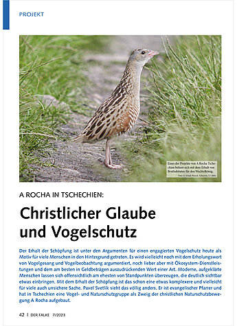 A ROCHA IN TSCHECHIEN: CHRIST LICHER GLAUBE UND VOGELSCHUTZ