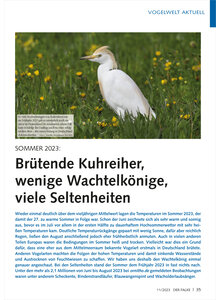 VOGELWELT AKTUELL SOMMER 2023 BRTENDE KUHREIHER, WENIGE WAC HTELKNIGE, VIELE SELTENHEITEN