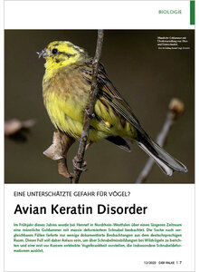 EINE UNTERSCHTZTE GEFAHR FR VGEL AVIAN KREATIN DISORDER