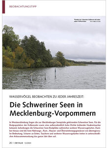 WASSERVGEL BEOBACHTEN ZU JEDE R JAHRESZEIT SCHWERINER SEEN IN MECKLENBURG-VORPOMMERN