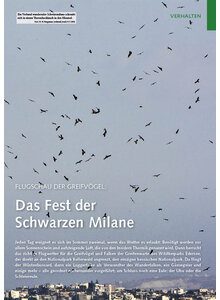 FLUGSCHAU DER GREIFVGEL DAS FEST DER SCHWARZEN MILANE