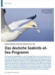 ERFASSUNGEN VON SEEVGELN AUF SEE DAS DEUTSCHE SEASBIRDS-AT- SEA-PROGRAMM