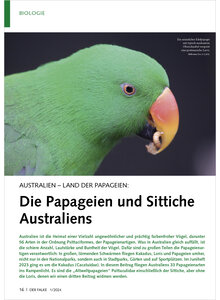 AUSTRALIEN LAND DER PAPAGEIEN DIE PAPAGEIEN UND SITTICHE AUSTRALIEN