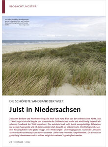 DIE SCHNSTE SANDBANK DER WELT JUIST IN NIEDERSACHSEN